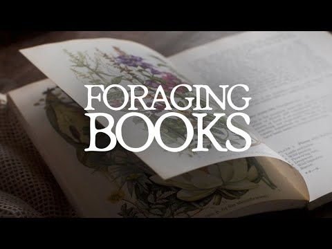 Best Foraging Books for Beginners?