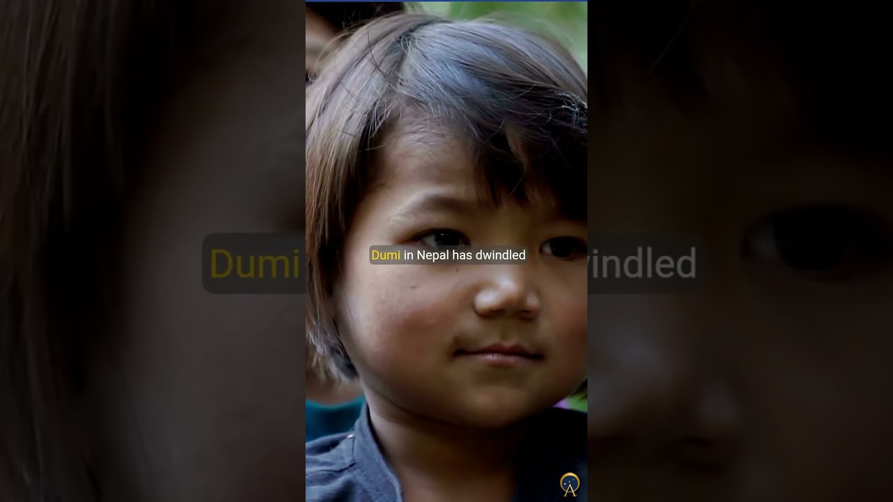 Ten of the Most Critically Endangered Languages in the World