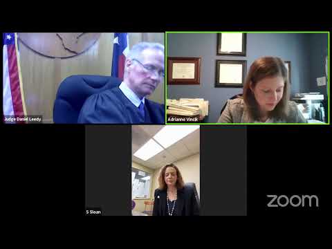 210115 January 15, 2021 CCL Zoom docket - am