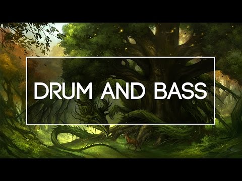 AstroSteps X Transphere - Evergreen