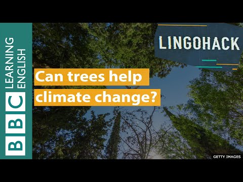 樹木は気候変動に貢献できるのか？リンゴハック (Can trees help climate change? Lingohack)