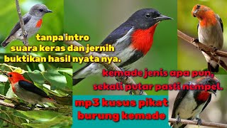 Download lagu MP3 kusus suara pikat burung kemade anti zonk mp3