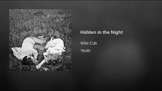 Hidden in the Night