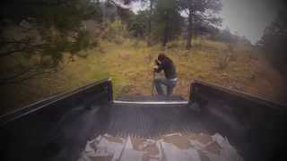 Vices I Admire -- Come Home