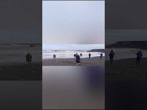 Puerto Montt y Puerto Saavedra #araucania #oceanopacifico #mapuches #ritornoascuola