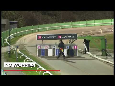 No Worries - BGBF British Breeders Stakes - Heat 4