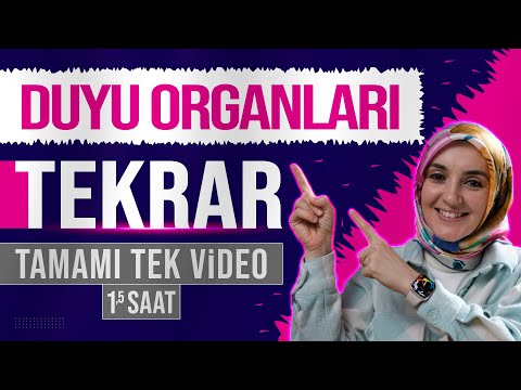 3) Duyu Organları FULL TEKRAR | 11. Sınıf Biyoloji | AYT Biyoloji Konu Anlatımı 3