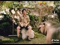Hippo Beatboxing