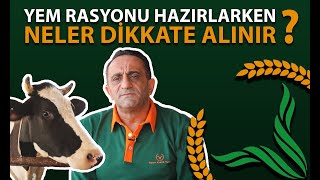 Yem rasyonu hazırlarken neler dikkate alınır ? | Tarım Kredi Yem