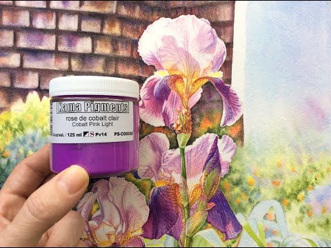 Cobalt Pink pigment PV14 and its artistic use in watercolor painting