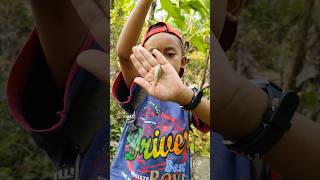 Download lagu Serunya Mancing Ikan Wader: Tips & Trik Menangkap Si Kecil yang Rakus mp3 Download lagu Serunya Mancing Ikan Wader: Tips & Trik Menangkap Si Kecil yang Rakus mp3