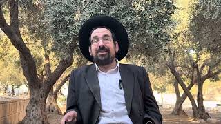 מעלתה הגדולה של תפילת המנחה בהר הבית | הרב אליהו ובר (ישיבת הר הבית) - התמונה מוצגת ישירות מתוך אתר האינטרנט יוטיוב. זכויות היוצרים בתמונה שייכות ליוצרה. קישור קרדיט למקור התוכן נמצא בתוך דף הסרטון