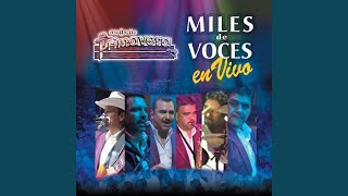 Ave Cautiva (Live Chihuahua, Mexico/2004)