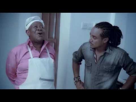 STEPSOLAR POWER SYSTEM