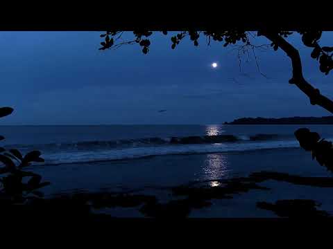 Kidneys & Bladder - 5 Min Inner Smile Standing Meditation