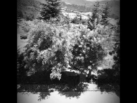 Civitaluparella: I’ll Museo