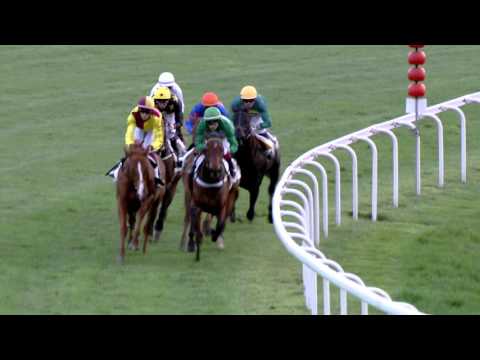 Avenches/11.04.2016/Poule d'Essai