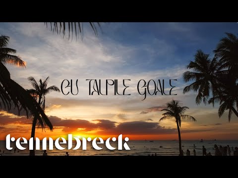 Mira - Cu Tălpile Goale | Tennebreck Remix