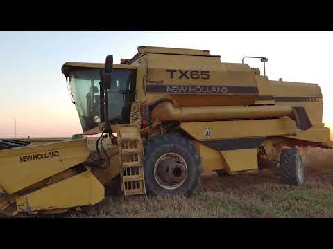 LG Velvet, Video Sample