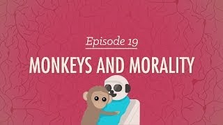 Monkeys and Morality: Crash Course Psychology #19