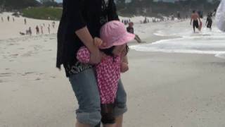 preview picture of video '卡麥爾沙灘的快樂下午 (Carmel Beach@Carmel-By-The-Sea)'