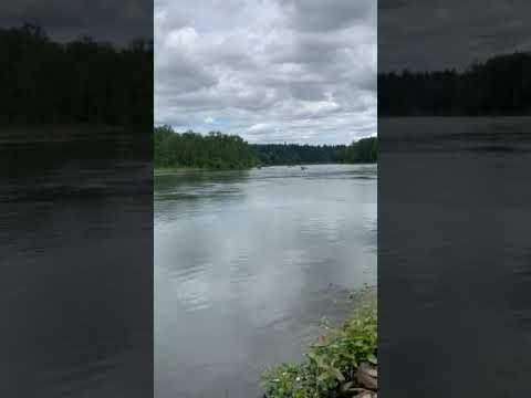 just so beautiful by the river