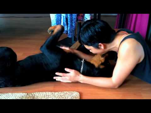 Luann's Birthday Song for Me