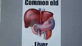 My Kidney's Going To Hell