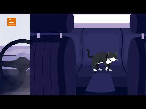 Cambio Carsharing Q&A: What rules do I need to follow with cambio?