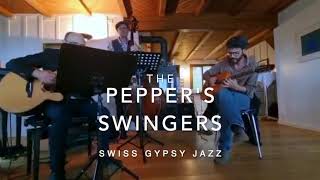 The Pepper`s Swingers video preview