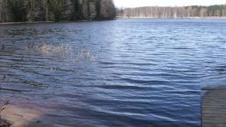 Surullinen sottiisi.wmv