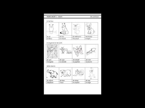 klas fagot frans groep 2 les 3