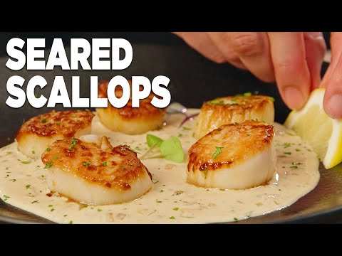 SCALLOPS Sizzled to Perfection in a Rich Champagne Cream Sauce