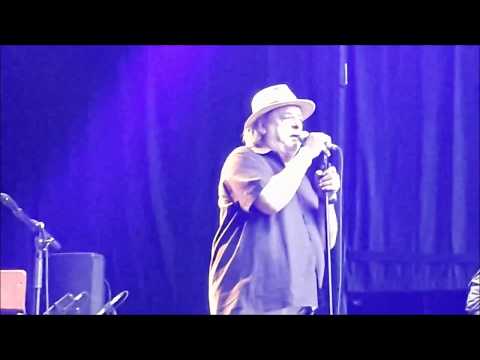 Stiller Has - free concert Geneva - 14 .7.2017  Parc de la Grange