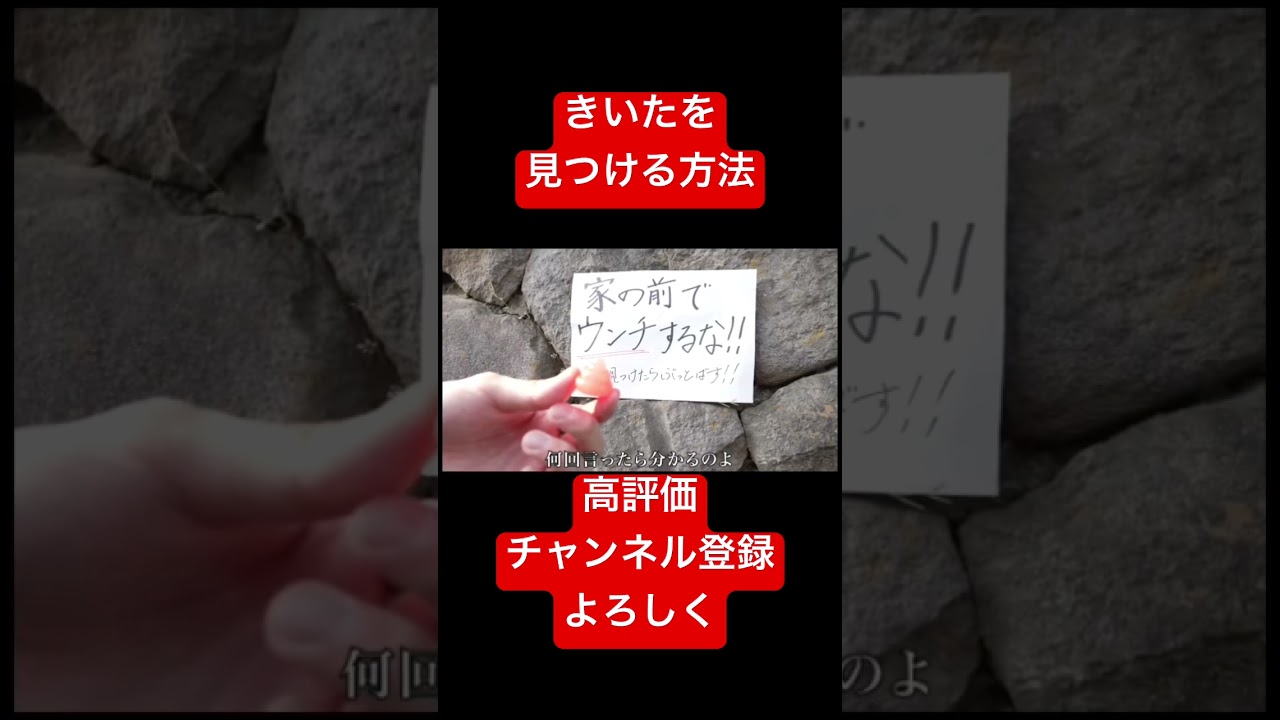 きいたを見つける方法はうんち？？#バンカラジオ #切り抜き #shorts