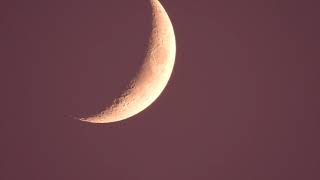Download lagu 🌜P.I.Tchaikovsky：Eugene Onegin Op.24 Polonaise mp3