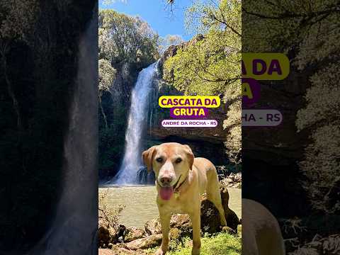 😱ATENÇÄO: curta ou longa??? #cascatadagruta #sitioentrerios #andredarocha