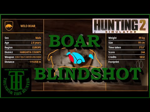 After Work Boar Blindshot - Hunting Simulator 2 [PC]