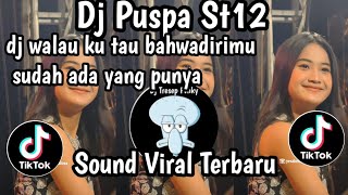 Download lagu DJ PUSPA ST12 DJ WALAU KU TAU BAHWA DIRIMU SUDAH ADA YANG PUNYA SOUND TRENDING TIKTOK TERBARU  mp3