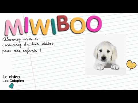 Les Galopins - Le chien - Miwiboo