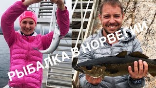Израиль рыбалка с берега в норвегии