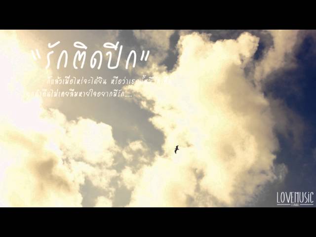 รักติดปีก - จ๊อบ บรรจบ