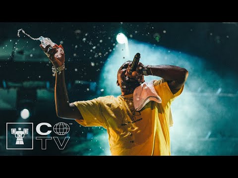 Coala.FSTVL ®️ 2019