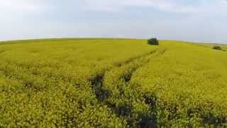 preview picture of video 'Aerofilms.bg Promo - Coleseed Fields, Pisanets, April 2014'