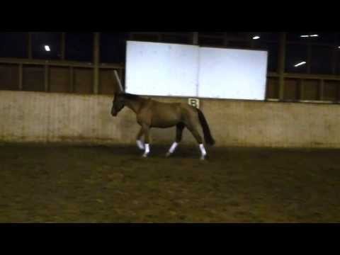 Fantastique 2014, 4j. Wallach v. Floriscount - Sandro Hit