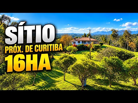 SÍTIO PRÓXIMO DE CURITIBA | 18 HECTARES | LAVOURA, CASA, BARRACÃO, TANQUE DE PEIXE E POMAR