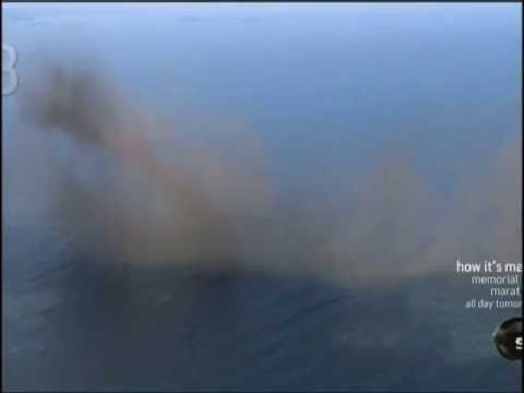 Swarming Lake Flies in Africa