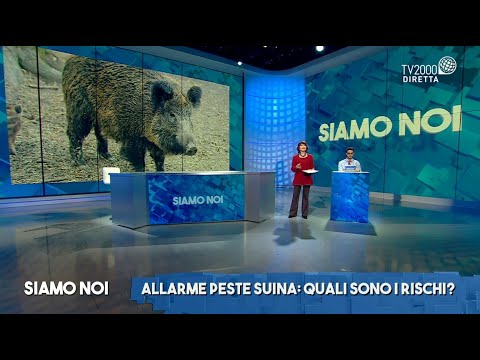 Siamo Noi, 14 gennaio 2022 - Peste suina: rischi per l'uomo e per l'economia