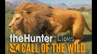 theHunter: Call of the Wild - Lions ! First Hunt &amp; Attacks !