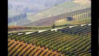 preview picture of video 'Langhe in Piemonte - autumn'